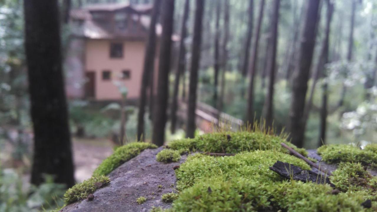 Cabana Rustica A 1Km De Cascada Mazamitla Exterior foto