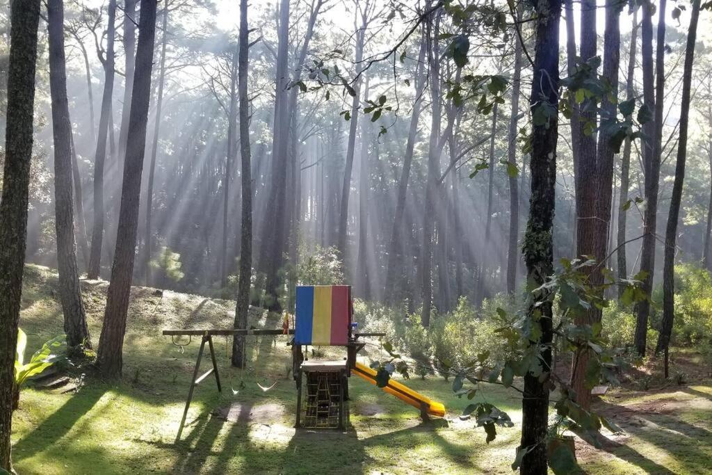 Cabana Rustica A 1Km De Cascada Mazamitla Exterior foto