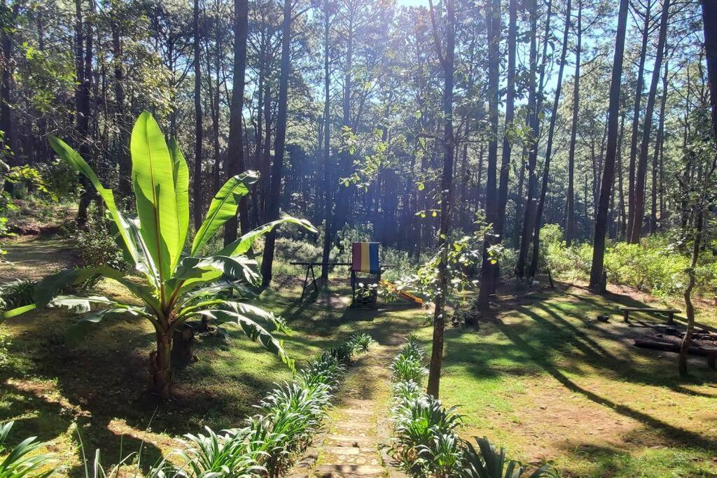 Cabana Rustica A 1Km De Cascada Mazamitla Exterior foto